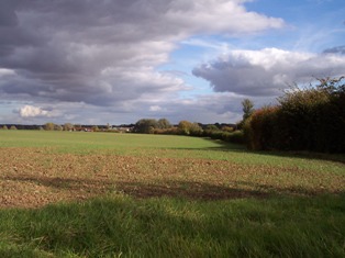 philipland wood near broxted