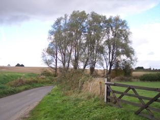 water lane near broxted