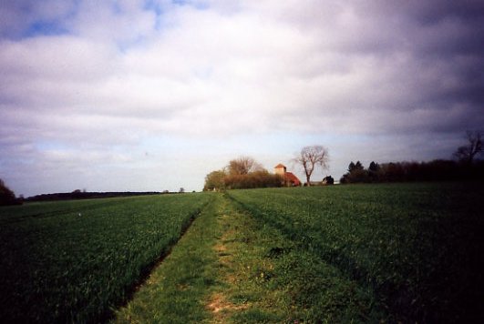 fields near church