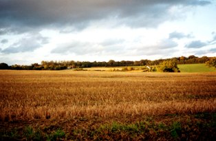 towards catsmere end