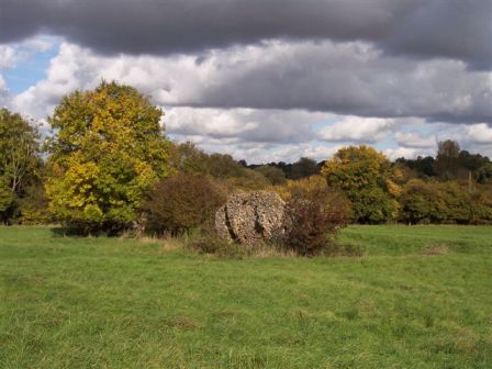 remains of tilty abbey