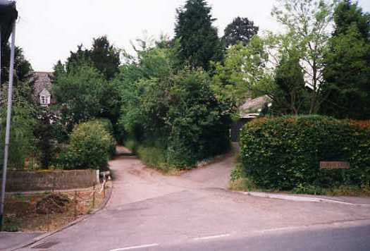 dorvislane